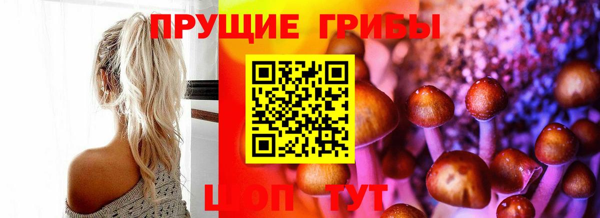 Самара  Псилоцибиновые грибы прущие грибы  Галлюциногенные грибы прущие грибы  Вход с VPN 